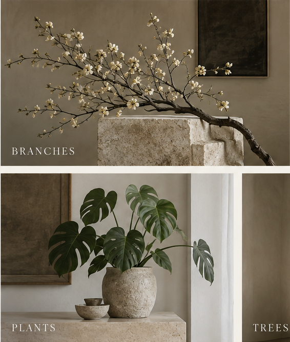 Delicate flowering branch displayed as an architectural object